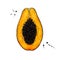 Papaya vector drawing. Hand drawn tropical fruit illustration.