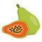 Papaya vector. Fresh papaya illustration