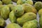 Papayas For Sale In Maui