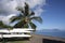 Papeete Ocean Front with canoes and palm tree