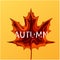 Paper art cartoon abstract waves. Autumn paper carve background. The maple leaf which is cut out from paper. Modern