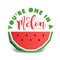 Paper art style colorful watermelon vector illustration.