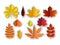 Paper autumn leaves. Beautiful fall colourful foliage. Orange, red and yellow papercut leaf decoration isolated vector