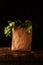 Paper bag with beet greens. Concept of healthy grocery shopping
