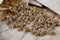 Paper bags with beet seeds on wooden background, closeup. Vegetable planting