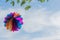 A paper balloon hangs on a branch against a blue sky