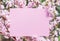 Paper blank between flowering almond branches in blossom. Pink flowers as a frame