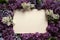 Paper blank surrounded by fragrant spring branches of blooming lilac of different colors.