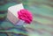 Paper boat pink rose water