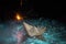 Paper boat sailing on blue water in the raging sea. Around the spray of water, night, sparklers fireworks. Symbol of struggle and