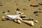 A paper boat on a sandy beach among shells and stones. Seaside. Copy space. Travel concept