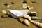 A paper boat on a sandy beach among shells and stones. Seaside. Copy space. Travel concept