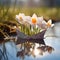 Paper boat with spring flowers and blooms floating on the water surface.