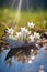 Paper boat with spring flowers and blooms floating on the water surface.