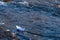 A paper boat on a turbulent stream of water struggles with the flow. Small paper boat is flowing along river