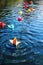 paper boats in water, demonstrating synchronized effort