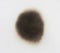 Paper burn black  stain isolated over the white background. Round paper burn mark close up