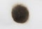 Paper burn black  stain isolated over the white background. Round paper burn mark close up