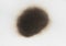 Paper burn black  stain isolated over the white background. Round paper burn mark close up