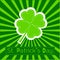 Paper clover leaf. Sunburst background. Happy St P