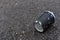 Paper coffee cup on asphalt. Discarded disposable Black coffee cup with a plastic lid on road. The problem of environmental