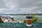 PAPER COFFEE CUP on a wooden railing, Port of Quebec City in blur. Cruise liner and city on the background. Close up and