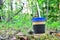 Paper cup with coffee or drink outdoor on a background of forest nature and green foliage