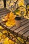 paper cup with coffee on a wooden bench with yellow leaves in the park