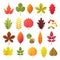 Paper cut autumn leaves set. Fall leaves colorful paper collection. Vector illustration.