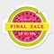 Paper cut out sticker final summer sale. Watermelon icon.