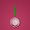 Paper cut red bulb onions. Vector paper cut design in the form of half slice onion for design of food packaging. Vector