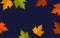 Paper cut style maple leaves over dark blue background, autumn fall thanksgiving banner vector