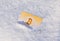 Paper gold money bitcoin in the snow in winter. Frozen account.