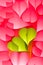 Paper hearts background - pink and green