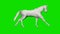 Paper horse running, seamless loop, Green Screen Chromakey