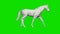 Paper horse walking, seamless loop, Green Screen Chromakey
