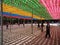 Paper lanterns at buddhist temple, South Korea