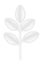 Paper leaf. White craft isolated botanical design element. Plant shape with shadows. Natural herbal decorative icon