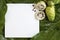 Paper mockup white card on a Noni leaves or Morinda Citrifolia b