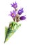 Paper money bag out of one hundred euros with snowdrop flowers