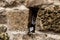 Paper notes in the Little Western Wall in the old district of Jerusalem city in Israel