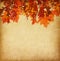 Paper with orange autumn leaves