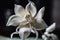 paper orchid, with delicate and intricate folds creating blooming effect