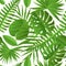 Paper palm, monstera leaves seamless pattern.