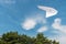 Paper plane flying over tree, cloud and sky.