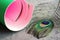 Paper roll of green and pink color and decorative peacock feather on concrete background