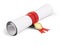 Paper scroll diploma with red ribbon and Gold seal on a white background