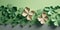 Paper shamrocks around borders, on light green background with copy space, banner St. Patrick\\\'s Day theme generative AI