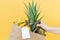 Paper shopping bag with fruit and blank label with woman`s hand on yellow background. Mockup. Copy space