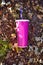 paper soft drink cup with plastic lid and straw thrown in the forest on the ground, milkshake or soda paper cup in nature, blank